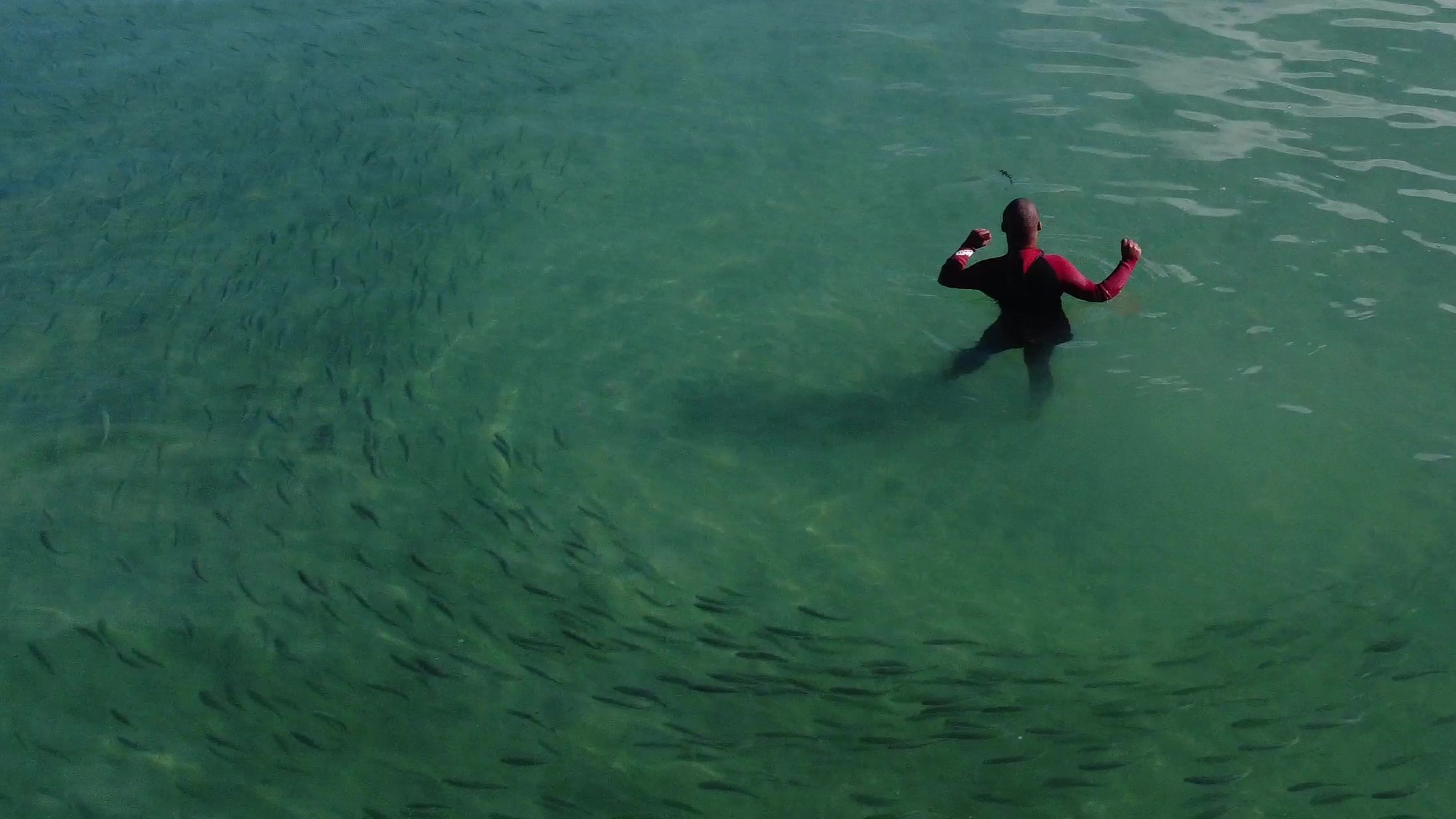 Saldanha Swim 23Jul'24 (19)