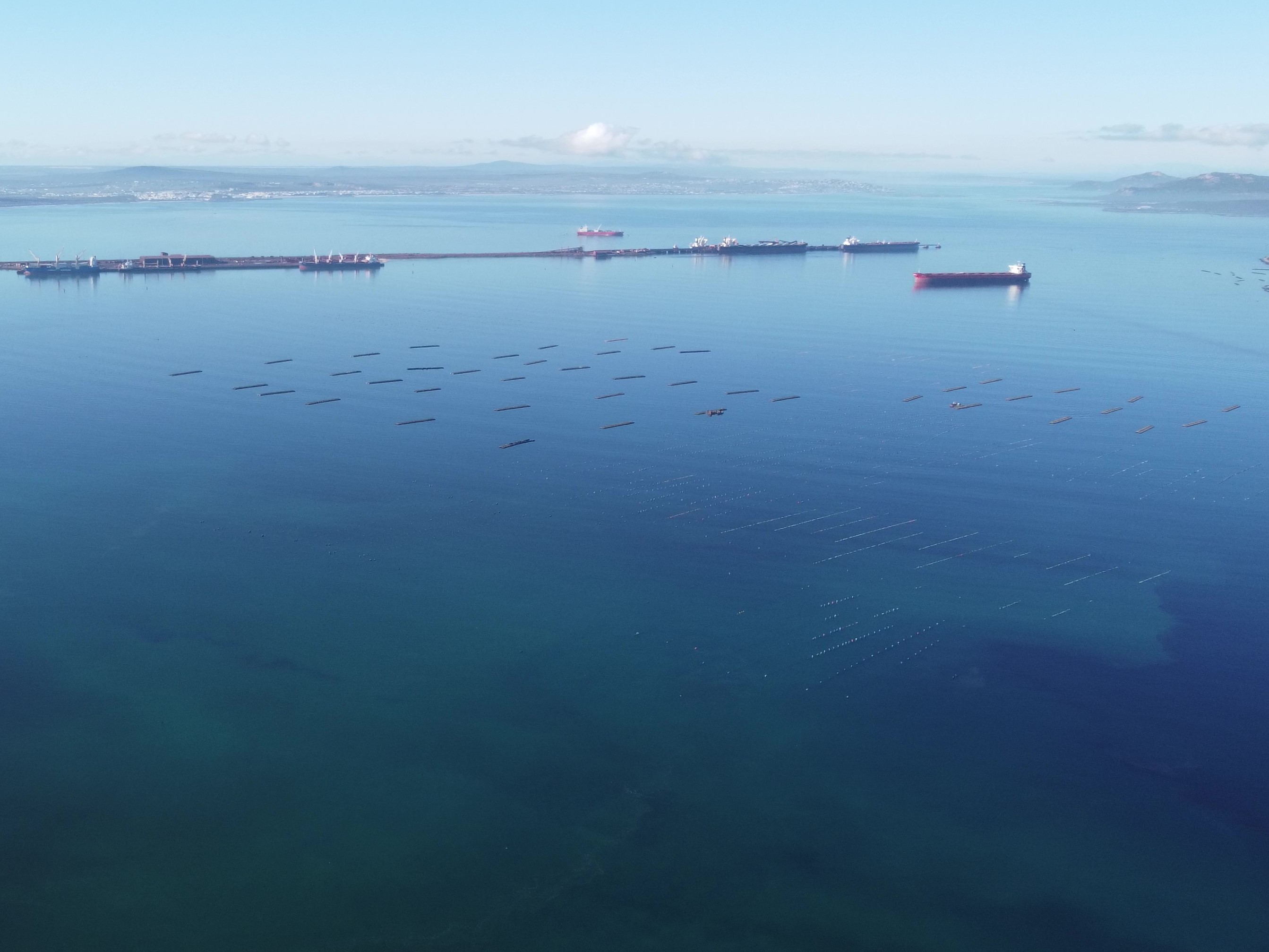 Saldanha Swim 23Jul'24 (3)