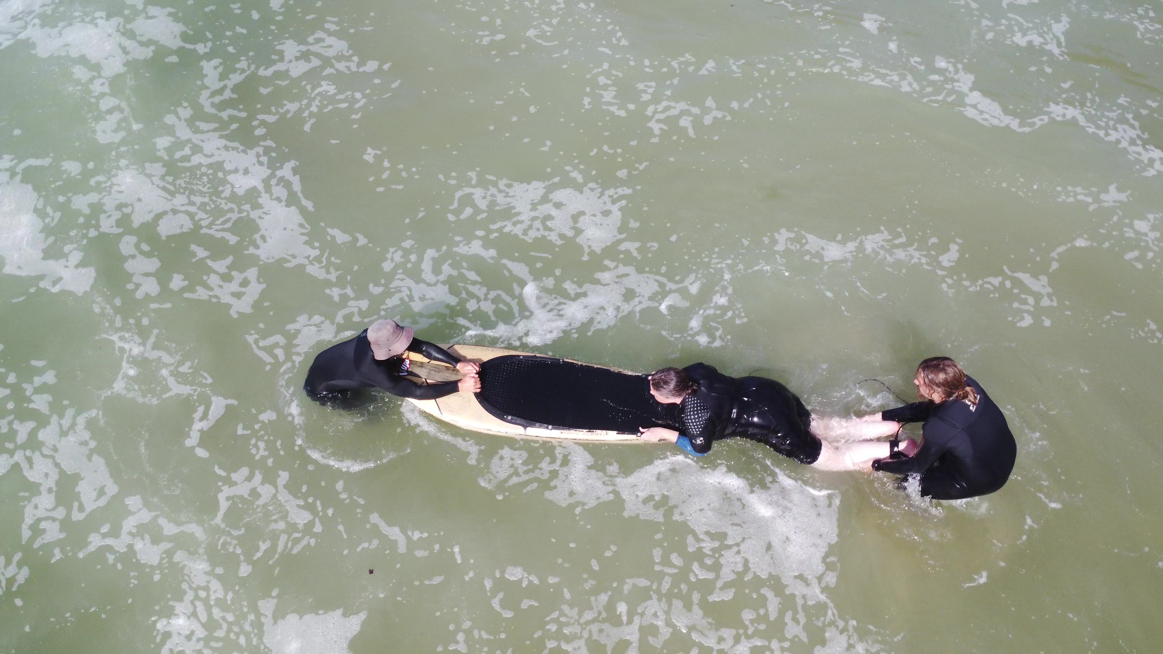 Vic Bay adaptive surf clinic (86)
