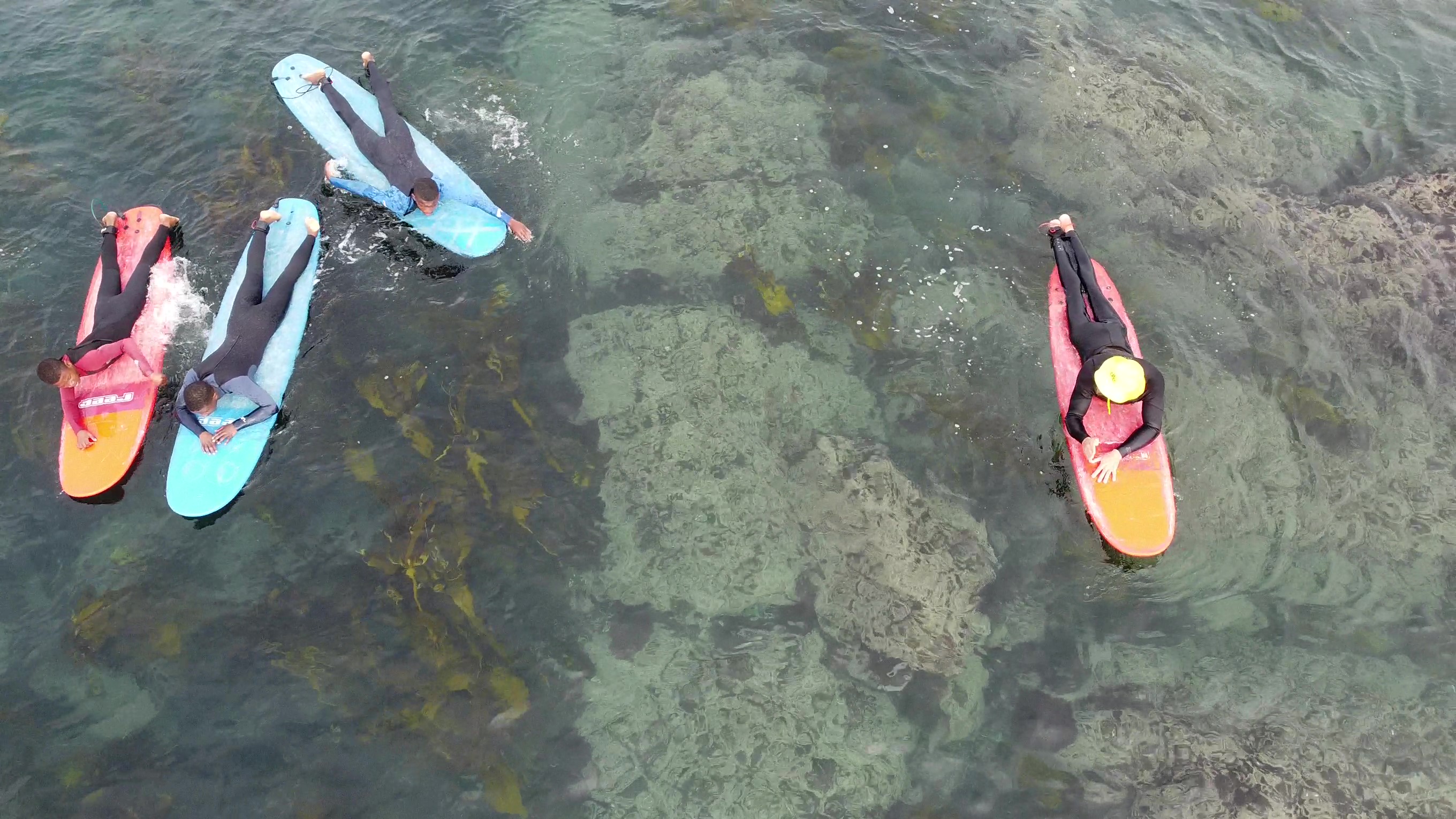 GromSurf Trekoskraal (2)