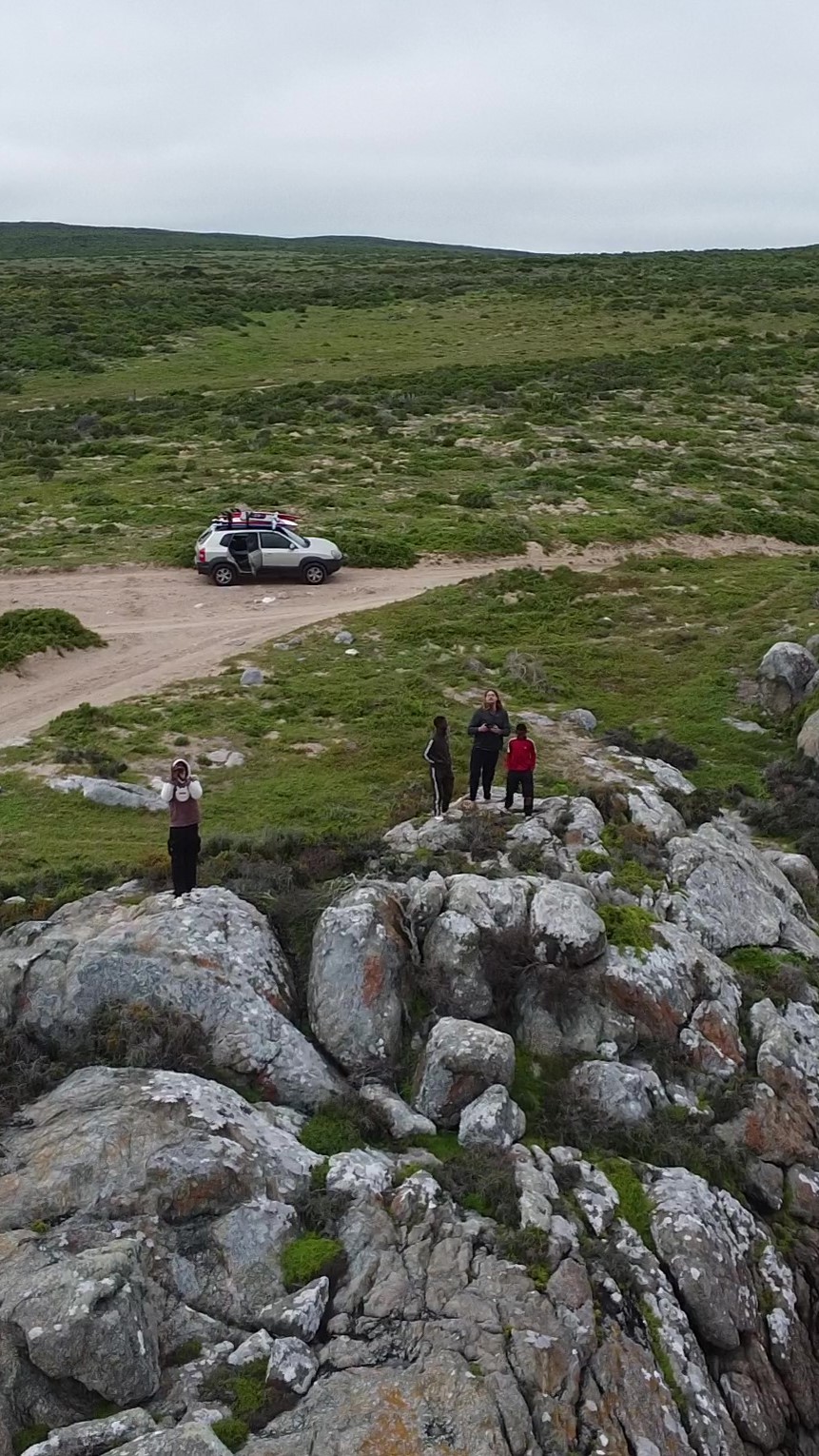 GromSurf Trekoskraal (3)