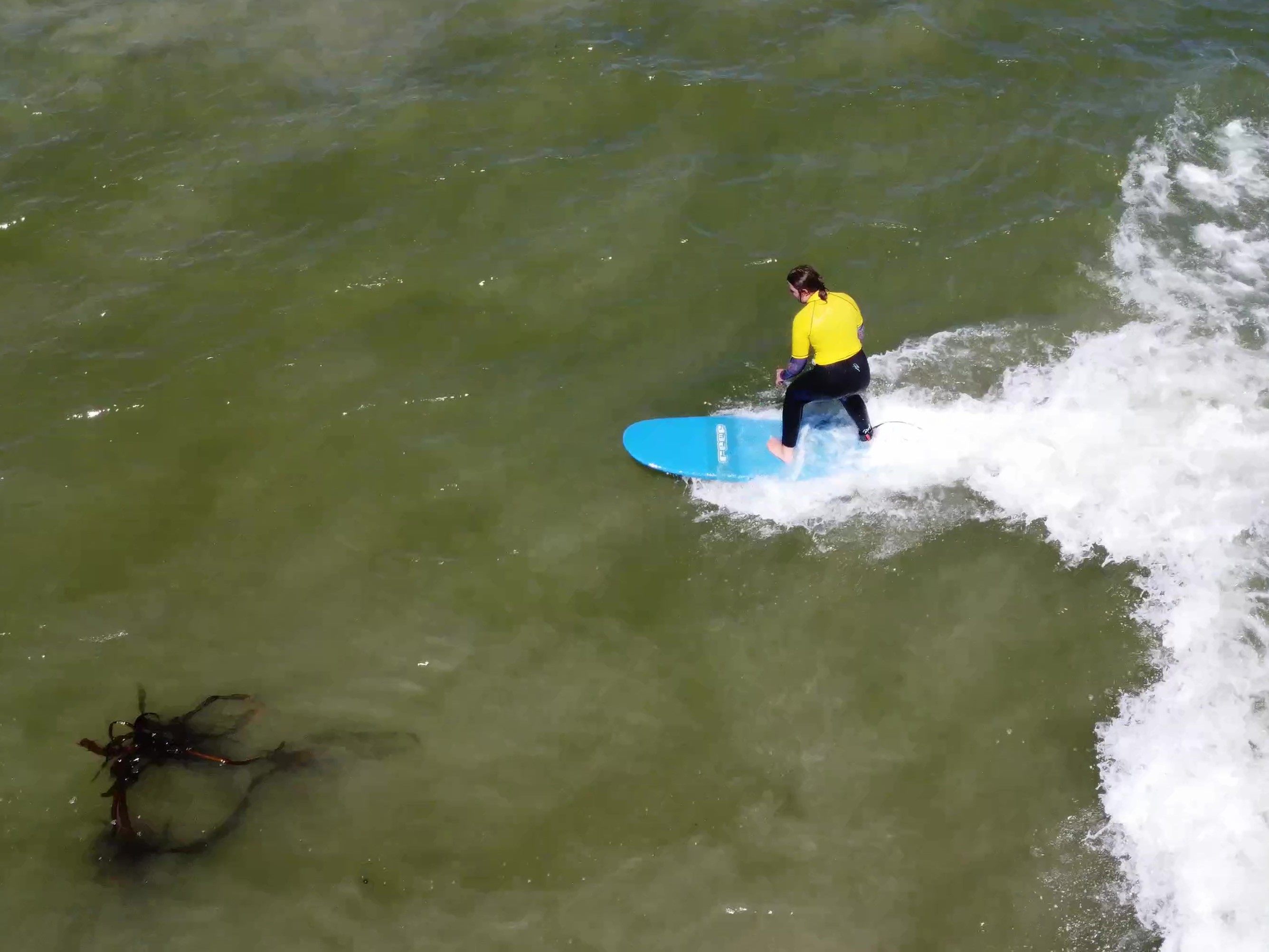 Weskus Open Open 2024 (10)